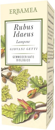 Rubus Idaeus GIOVANI GETTI GEMMODERIVATO BIOLOGICO 50 ml