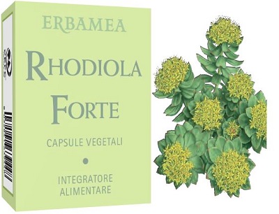 RHODIOLA FORTE 24 cps