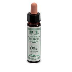 AINSWORTHS OLIVE 10ML