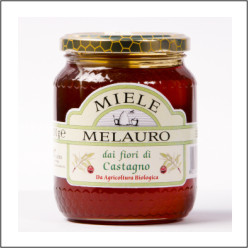 MIELE DI CASTAGNO BIO 500G