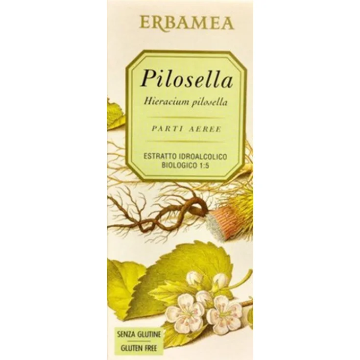 Pilosella PARTI AEREE ESTRATTO IDROALCOLICO BIOLOGICO 50 ml