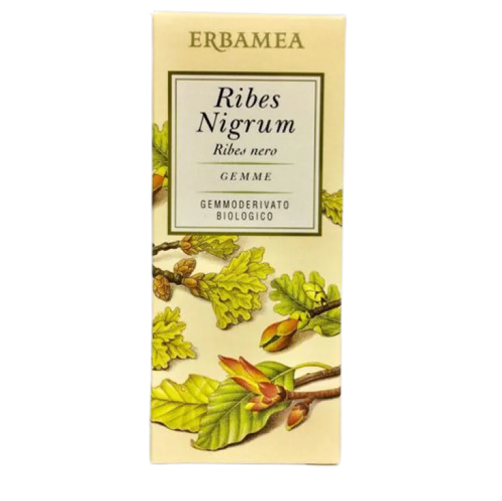 Ribes Nigrum GEMME GEMMODERIVATO BIOLOGICO 50 ml