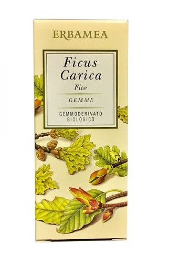 Ficus Carica GEMME GEMMODERIVATO BIOLOGICO 50 ml