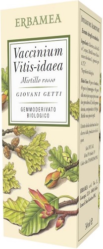 Vaccinium Vitis-idaea GIOVANI GETTI GEMMODERIVATO BIOLOGICO 50 ml