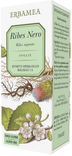 RIBES NERO Foglie Biologico