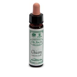 [906020110] AINSWORTHS CHICORY 10ML