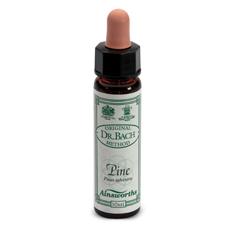 [906020298] AINSWORTHS PINE 10ML