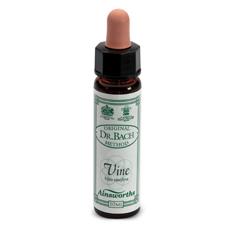 [906020387] AINSWORTHS VINE 10ML