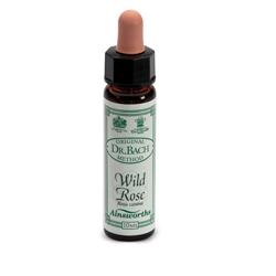 [906020452] AINSWORTHS WILD ROSE 10ML