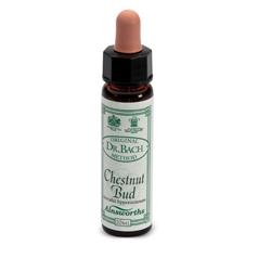 [906020084] AINSWORTHS CHESTNUT BUD 10ML