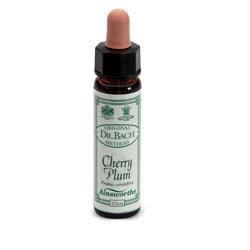 [906020072] AINSWORTHS CHERRY PLUM 10ML