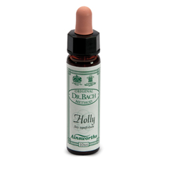 [906020185] AINSWORTHS HOLLY 10ML