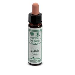 [906020223] AINSWORTHS LARCH 10ML